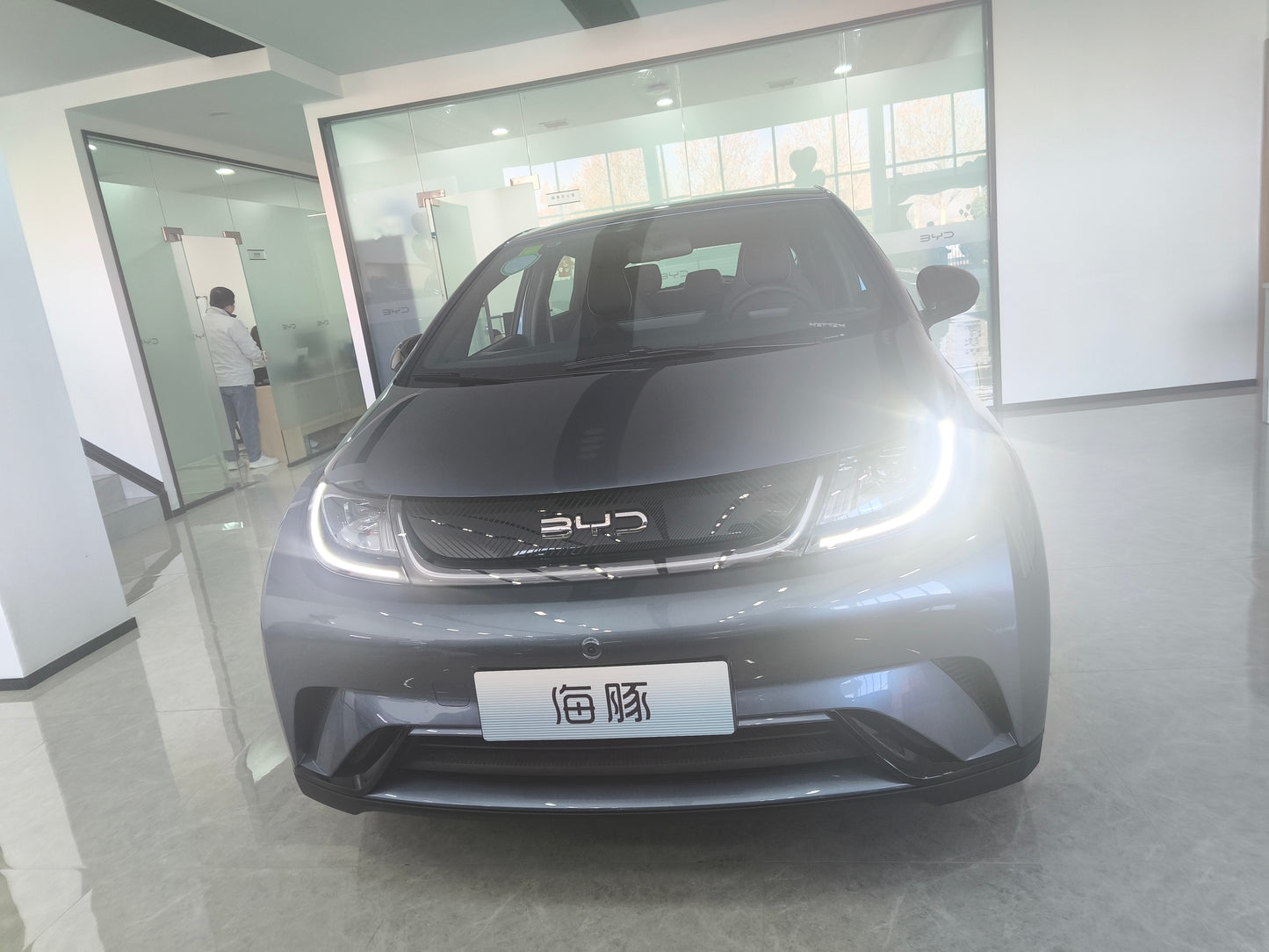 Byd 2025 Dolphin